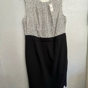 TALBOTS NWT $149 Dalmatian Animal Print Blouson Pencil Dress Size 14  Petite